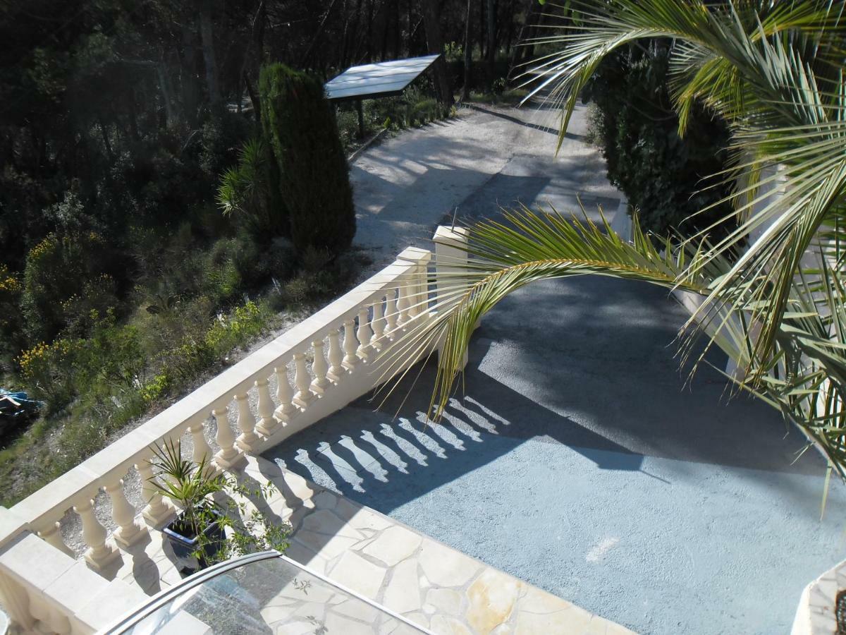 Charmante Villa A 15 Min De Nice Avec Piscine Blausasc 外观 照片